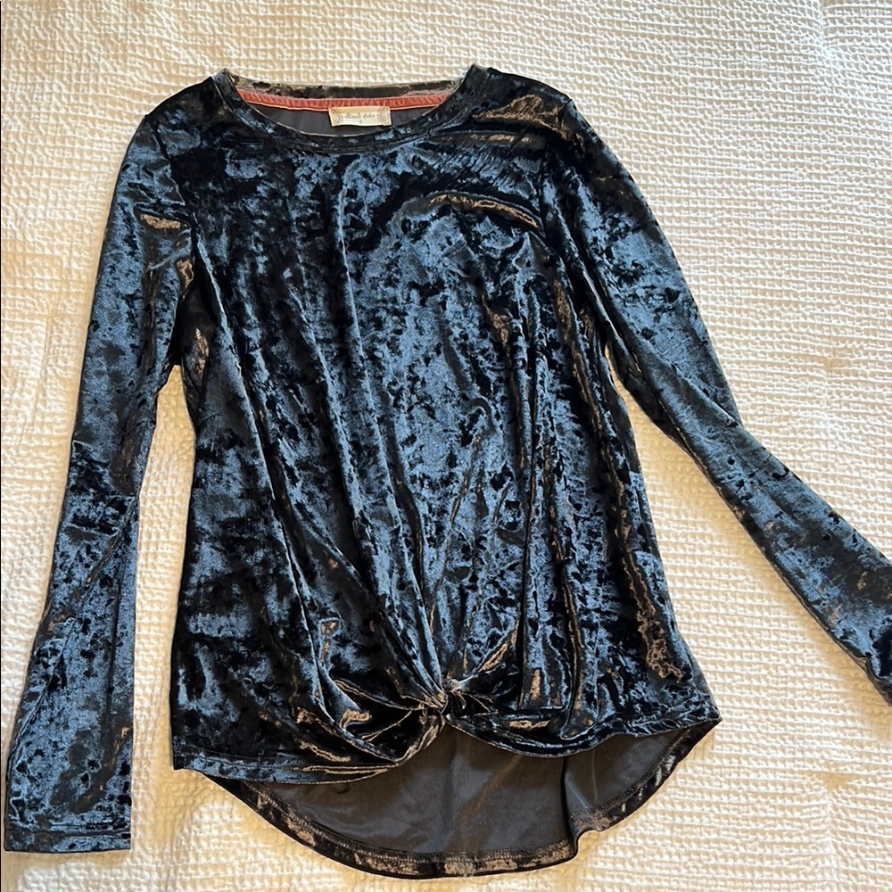 Altar'd State Blue/Purple Velvet Tie Front Blouse